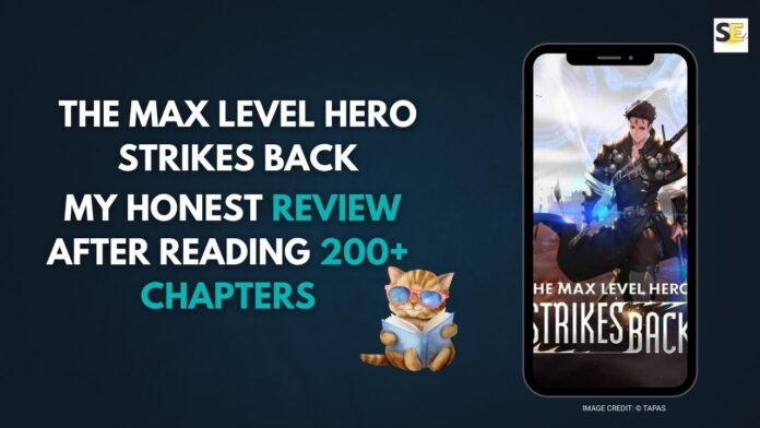 The Max Level Hero Strikes Back